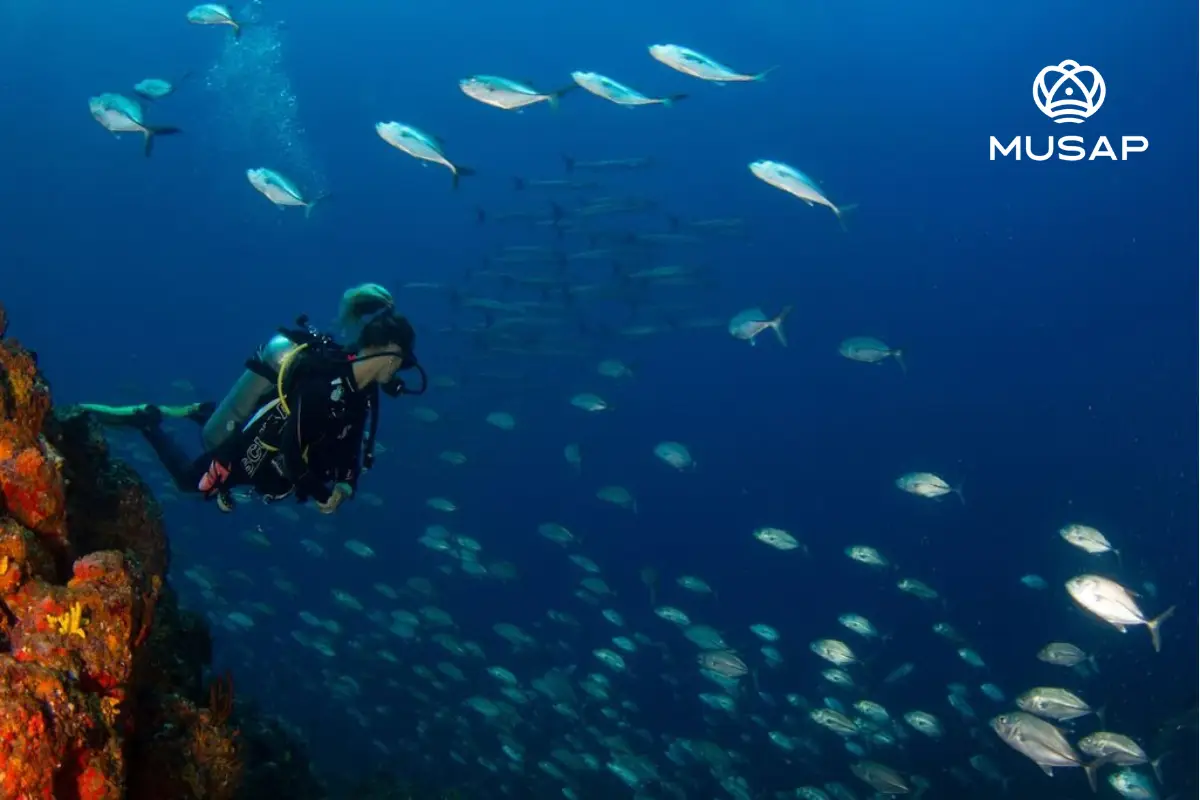 Scuba diving adventures in Panama