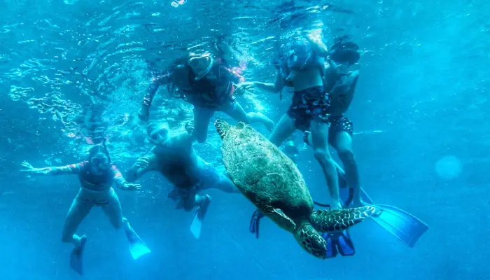 Multigenerational Family Adventure in Panama