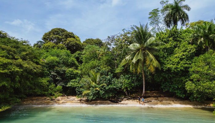 Bocas del Toro archipelago in the Caribbean Panamas tropical paradise 7