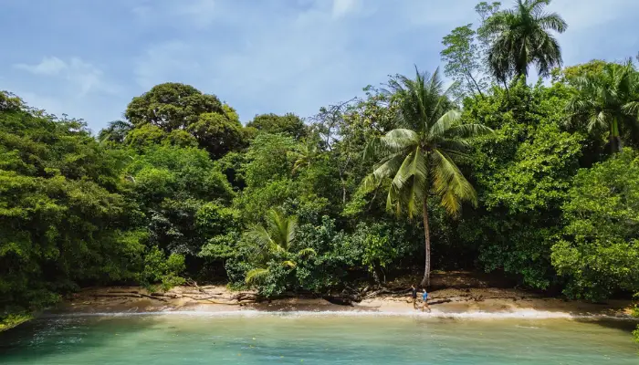 Bocas del Toro archipelago in the Caribbean Panamas tropical paradise 7