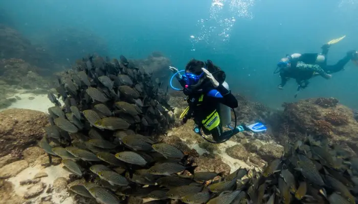 Explore the Gulf of Chiriqui Panamas Pristine Marine Sanctuary