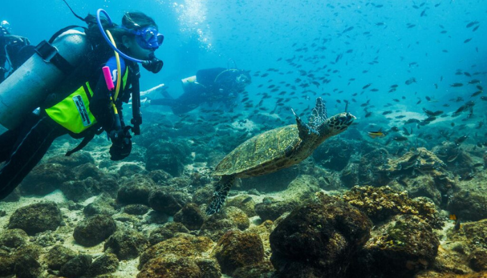 Islands Whales and Wilderness Experience the Gulf of Chiriqui