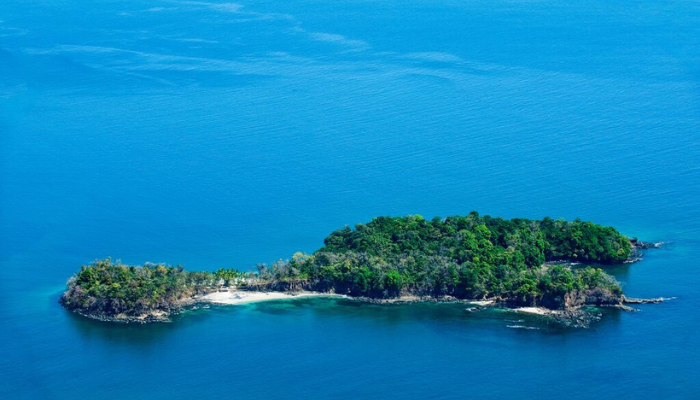 Journey into Nature The Gulf of Chiriqui with Truly Panama