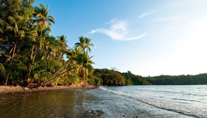 Uncover the Beauty of the Gulf of Chiriqui Panamas Wild Coastline