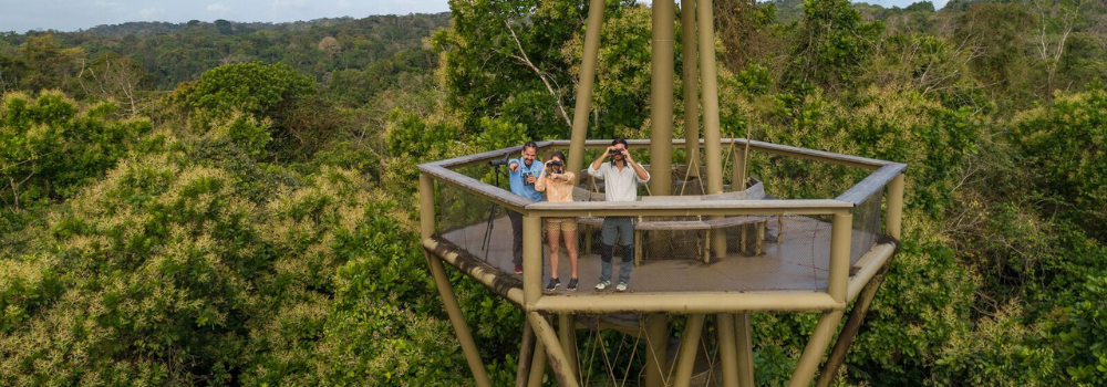Banner Gamboa Rainforest Reserve Province of Panama