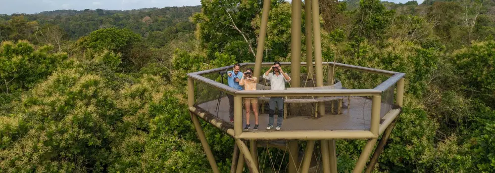 Banner Gamboa Rainforest Reserve Province of Panama