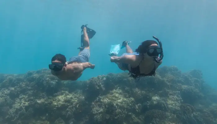 Snorkeling in Portobelo Panama – Caribbean Reefs and Marine Life